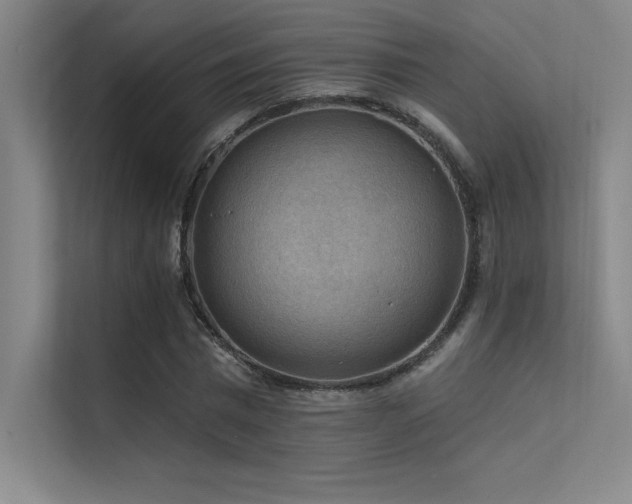 X0000112420777200908141410