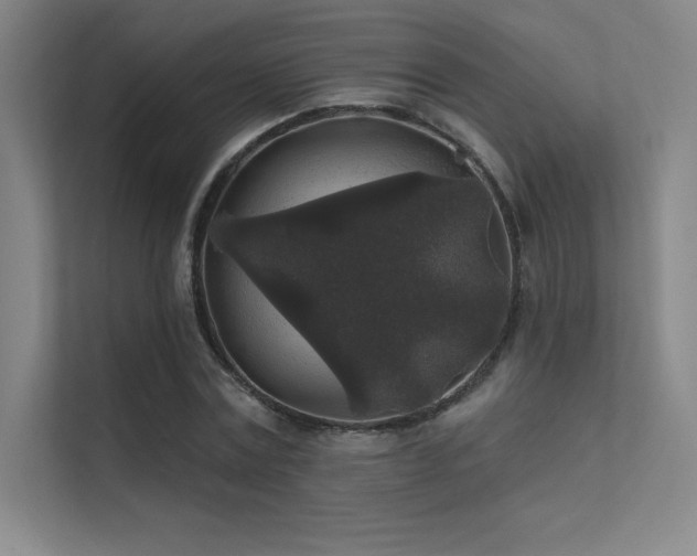 X0000112420779200908141410