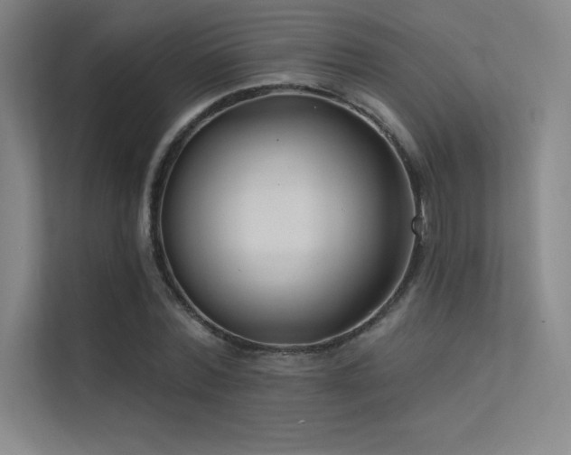 X0000112420780200908141410