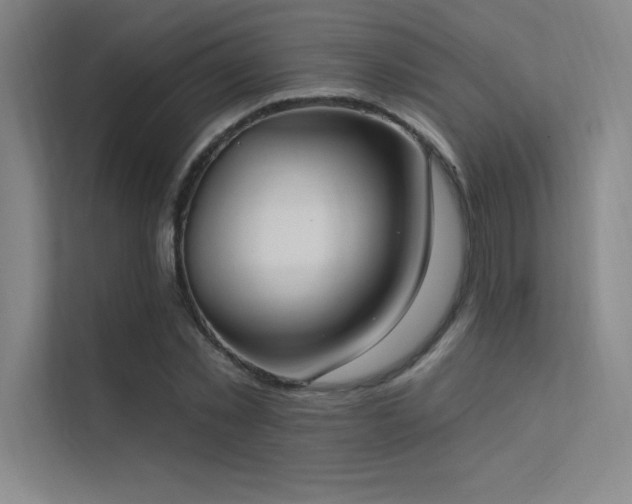 X0000112420781200908141410
