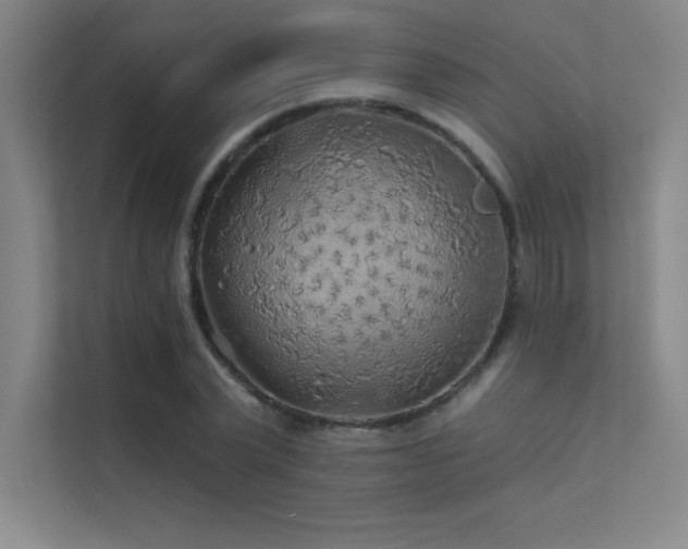 X0000112420783200908141410