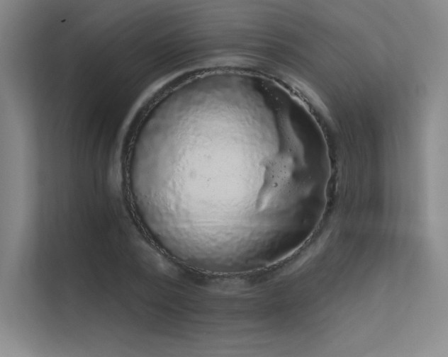 X0000112420784200908141410