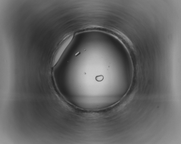 X0000112420785200908141410