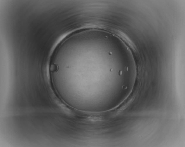 X0000112420788200908141410