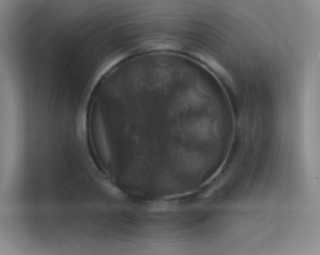 X0000112420790200908141410