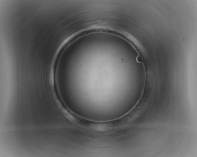 X0000112420791200908141410