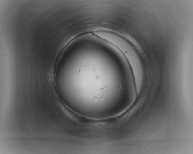 X0000112420793200908141410