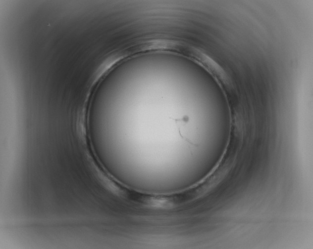 X0000112420794200908141410