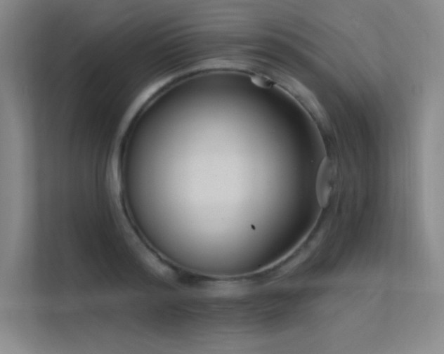 X0000112420796200908141410