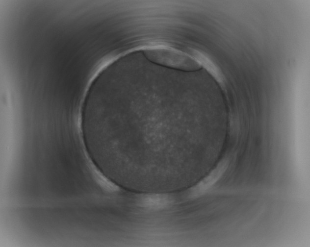 X0000112420797200908141410