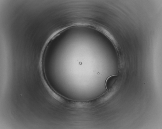 X0000112420803200908141410