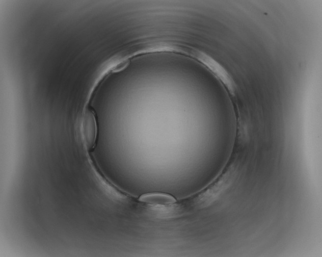 X0000112420805200908141410