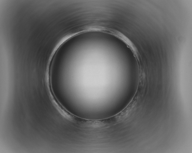 X0000112420811200908141410