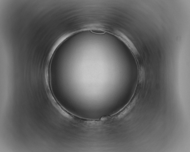 X0000112420812200908141410