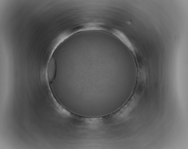 X0000112420813200908141409