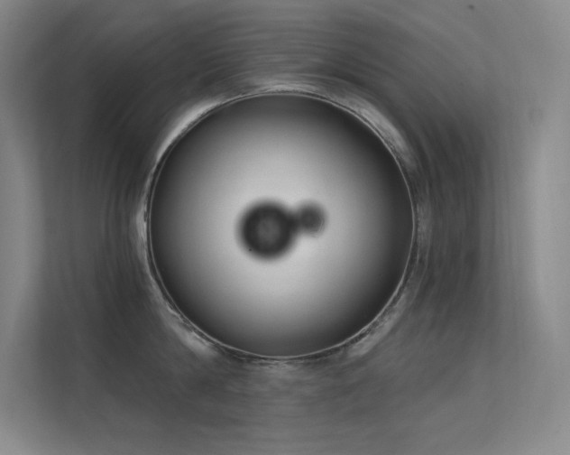 X0000112420814200908141409