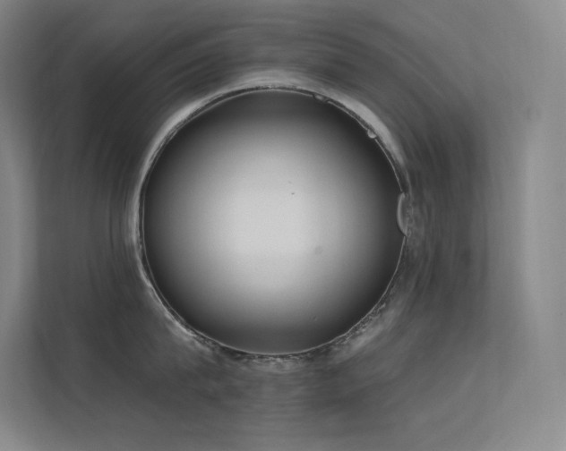 X0000112420815200908141409