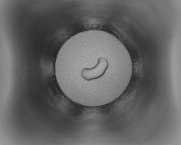 X0000112420820200908141409