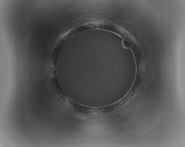 X0000112420822200908141409