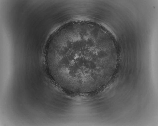X0000112420823200908141409