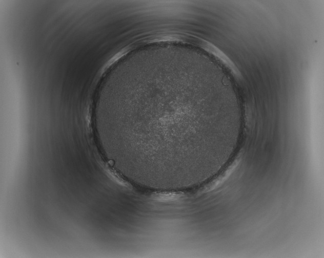 X0000112420826200908141409