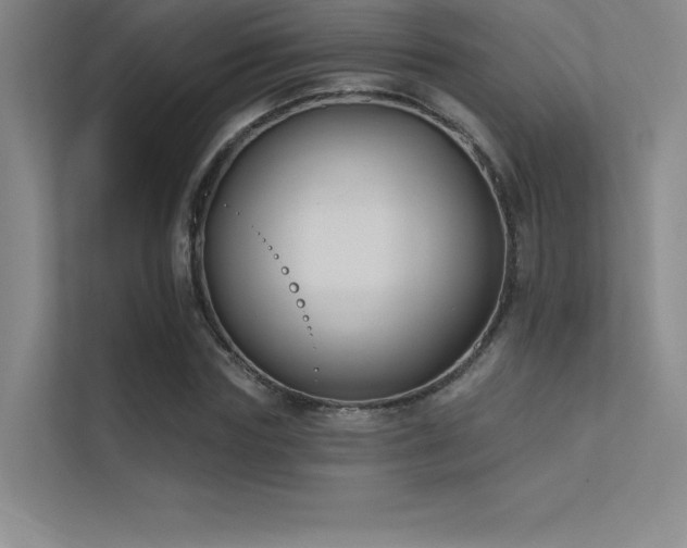 X0000112420827200908141409