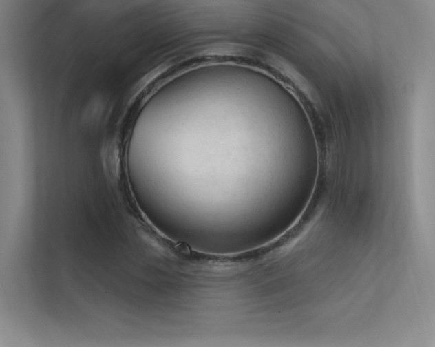 X0000112420829200908141409