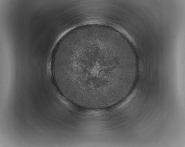 X0000112420830200908141409