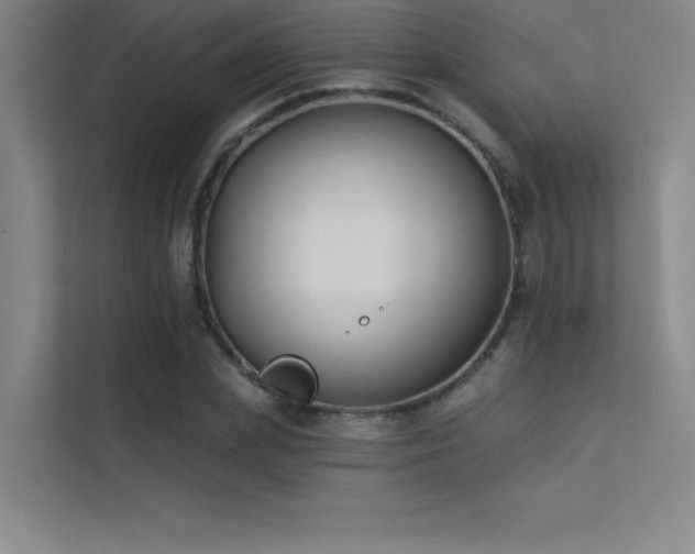 X0000112420831200908141409