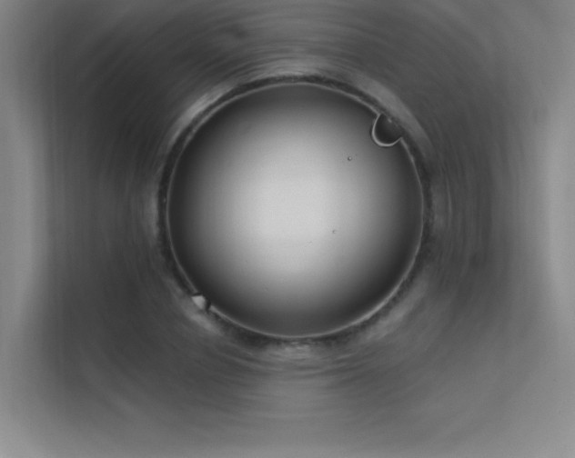 X0000112420834200908141409