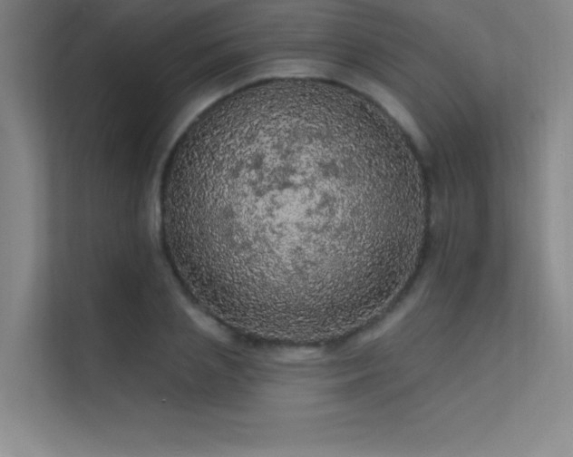 X0000112420837200908141409