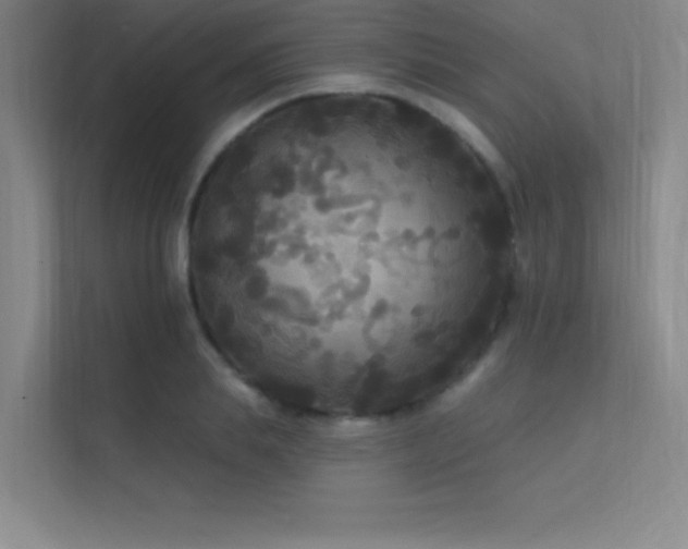 X0000112420839200908141409