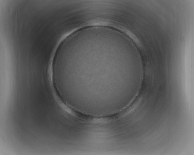 X0000112420840200908141409