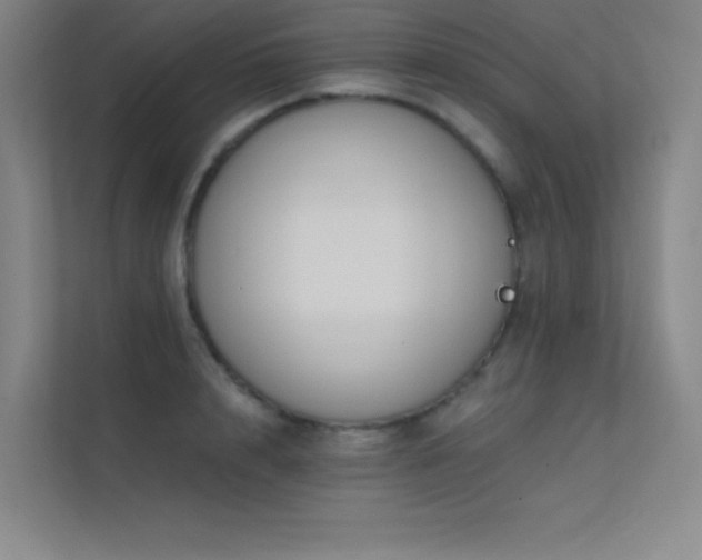 X0000112420848200908141409