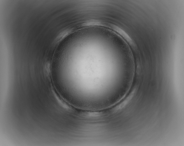 X0000112420849200908141409