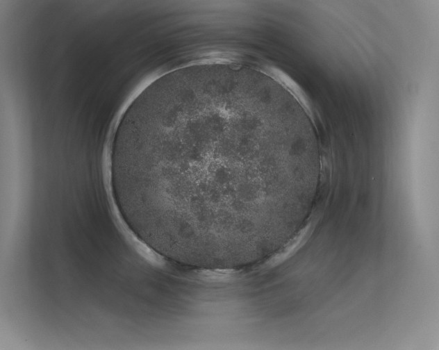 X0000112420859200908141409