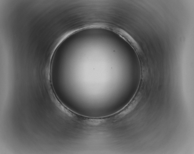 X0000112420860200908141409
