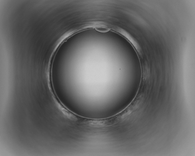X0000112420861200908141409