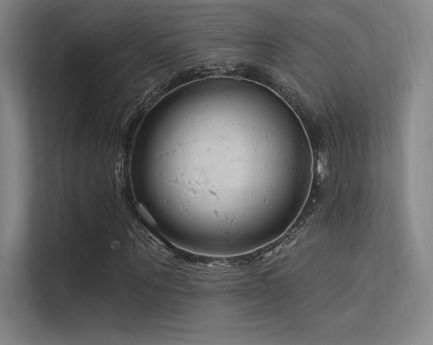 X0000112420867200908141409