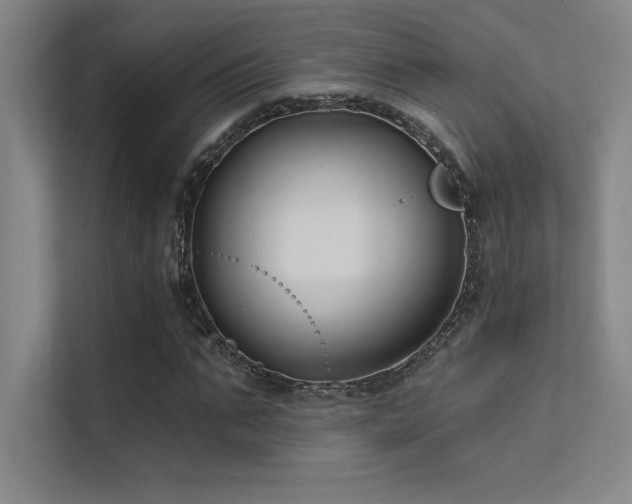 X0000112420871200908141409