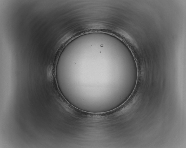 X0000112420873200908141409