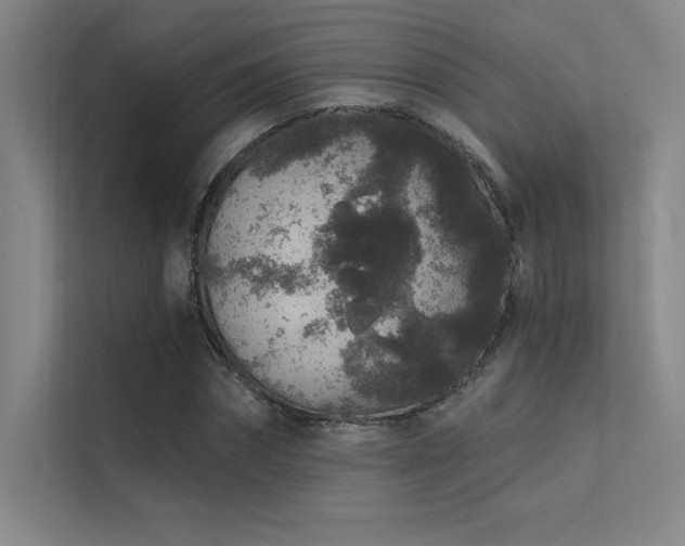 X0000112420874200908141409