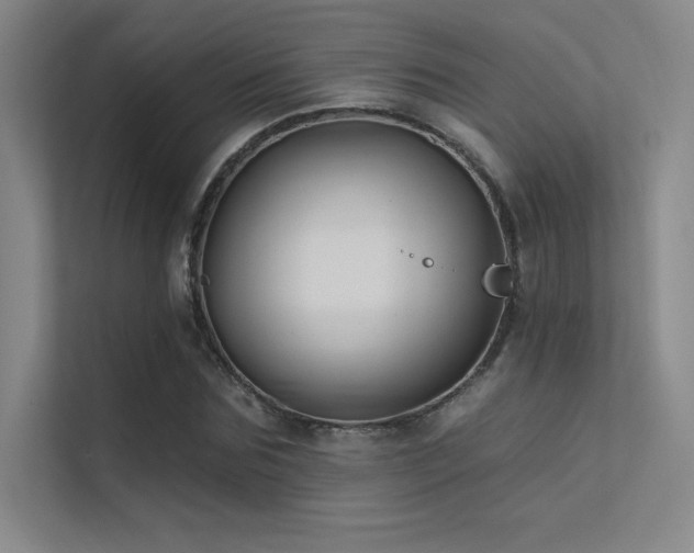X0000112420875200908141409