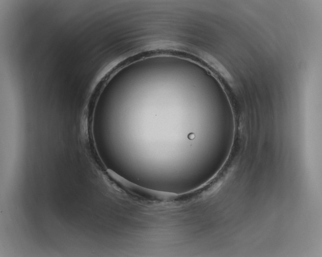 X0000112420877200908141409