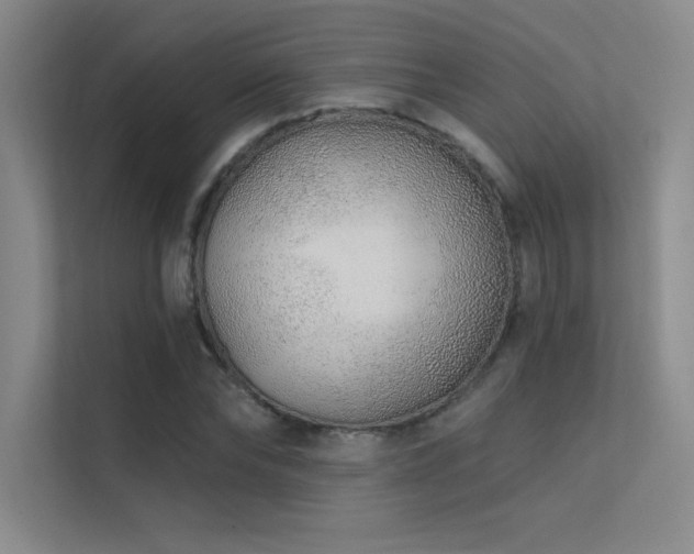 X0000112420878200908141409