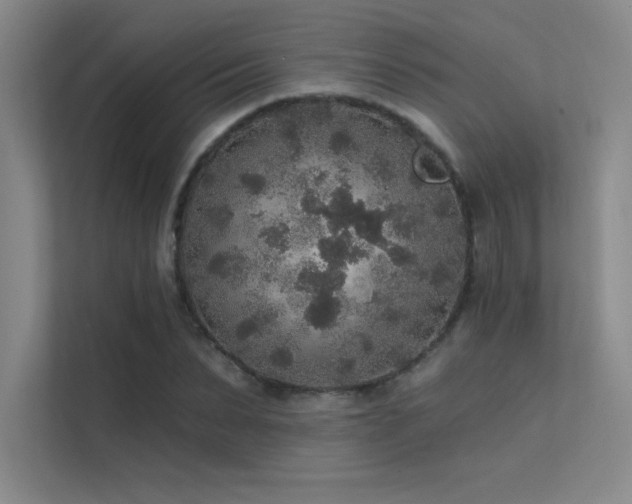 X0000112420879200908141409