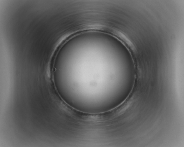 X0000112420883200908141409