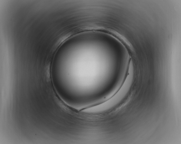 X0000112420889200908141409