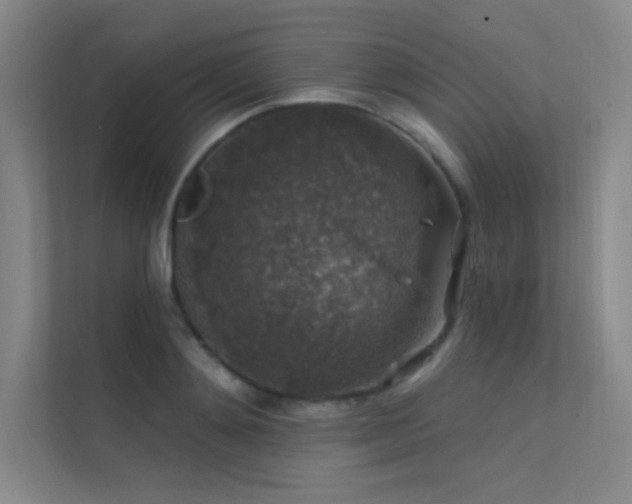 X0000112420892200908141408