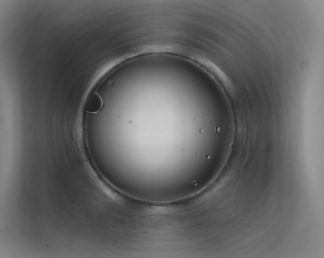 X0000112420894200908141408